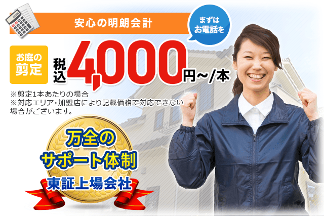 安心の明朗会計
